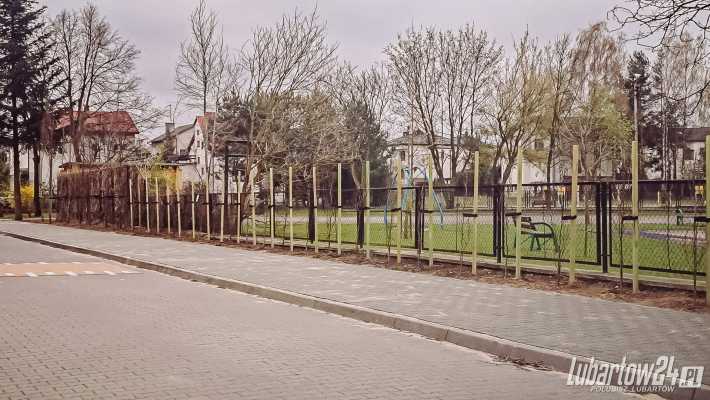 Przy ulicy Gagarina pojawiły się nowe nasadzenia. Zieleń wraca po głośnej wycince