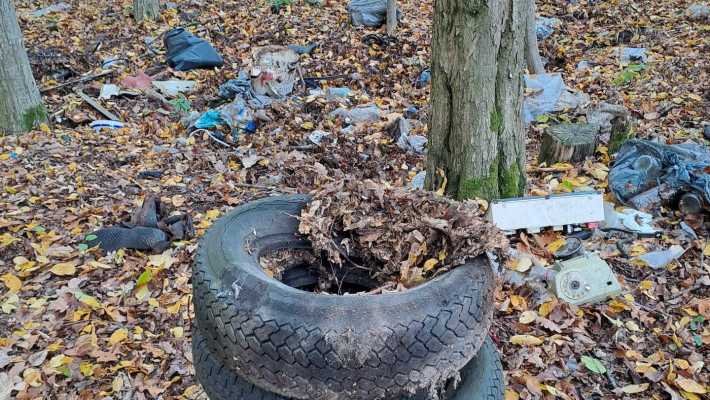 Młodzież z „Chopina” pokazała jak przywrócić blask naszym lasom