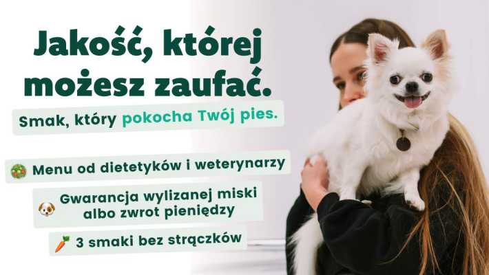 Indywidualne potrzeby żywieniowe psa a personalizacja posiłków z Piesotto