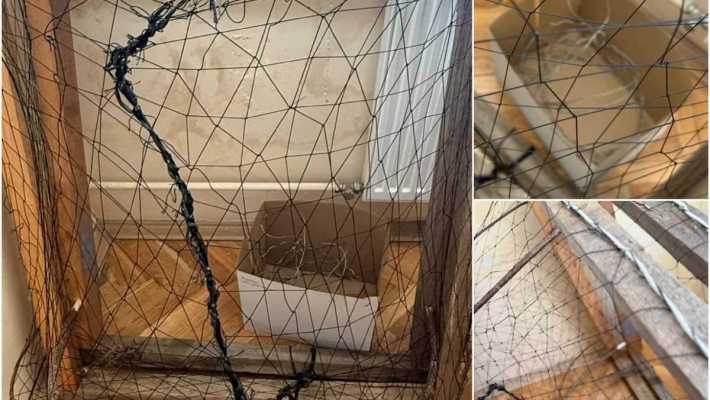 Kłusownik z gminy Michów w rękach policji