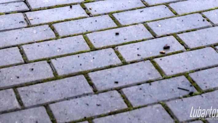 Przetargi: Nowe parkingi przy świetlicach w gminie Serniki