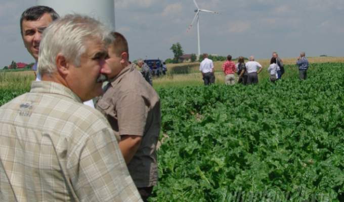 Niedźwiada: coraz bliżej rozwiązania sprawy farmy wiatrowej