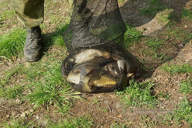 Zawody wędkarskie 18 kwietnia 2009