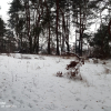 sprzedam działka