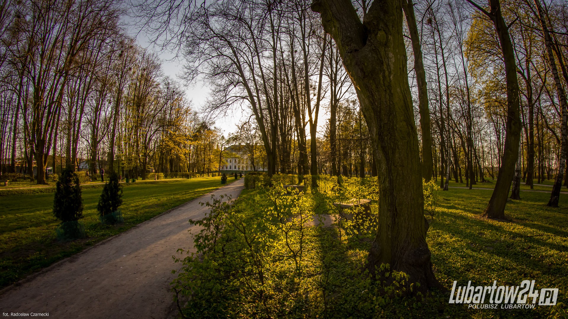 Lubartów