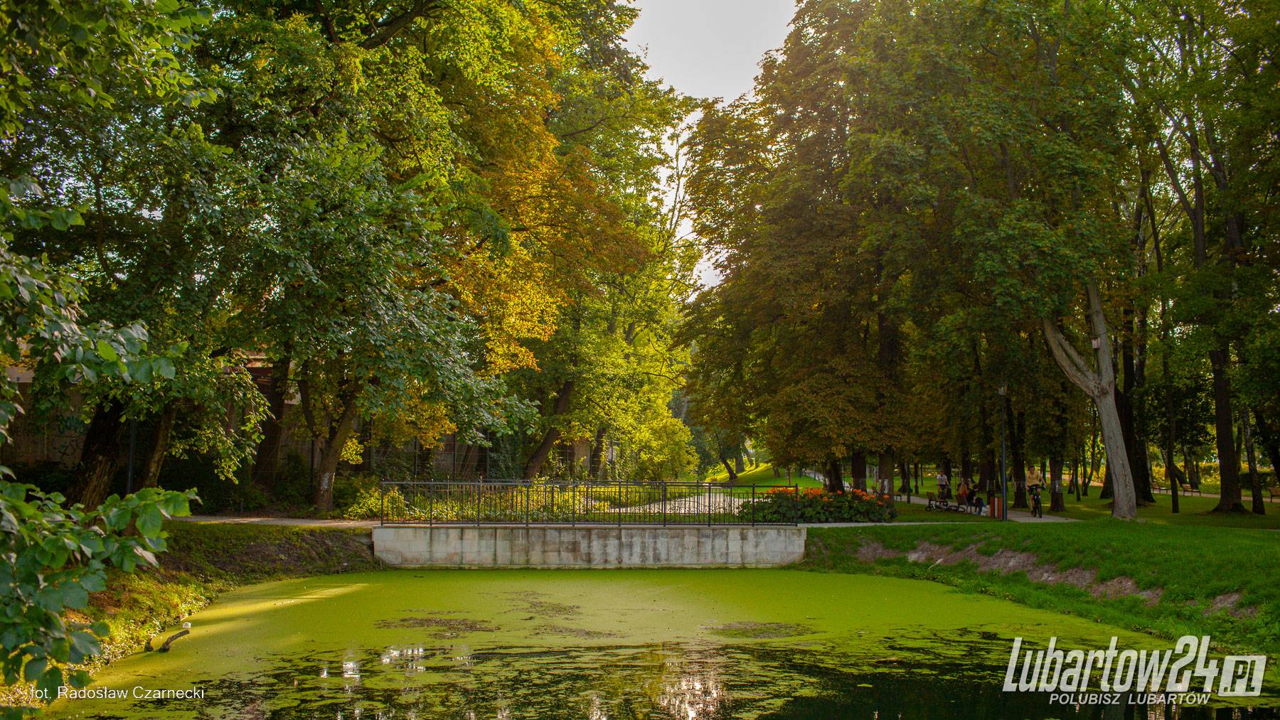 Park w Lubartowie
