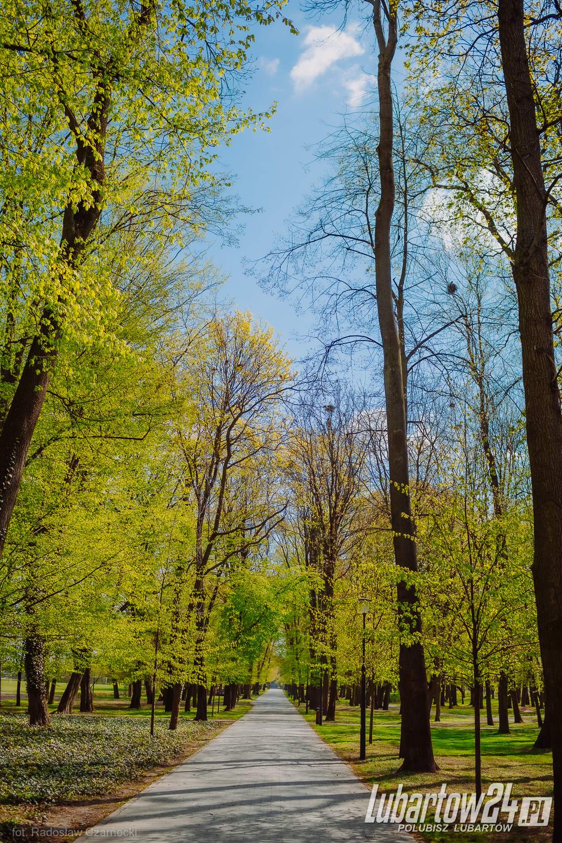 Wiosna w Parku
