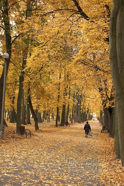 Jesienią w parku