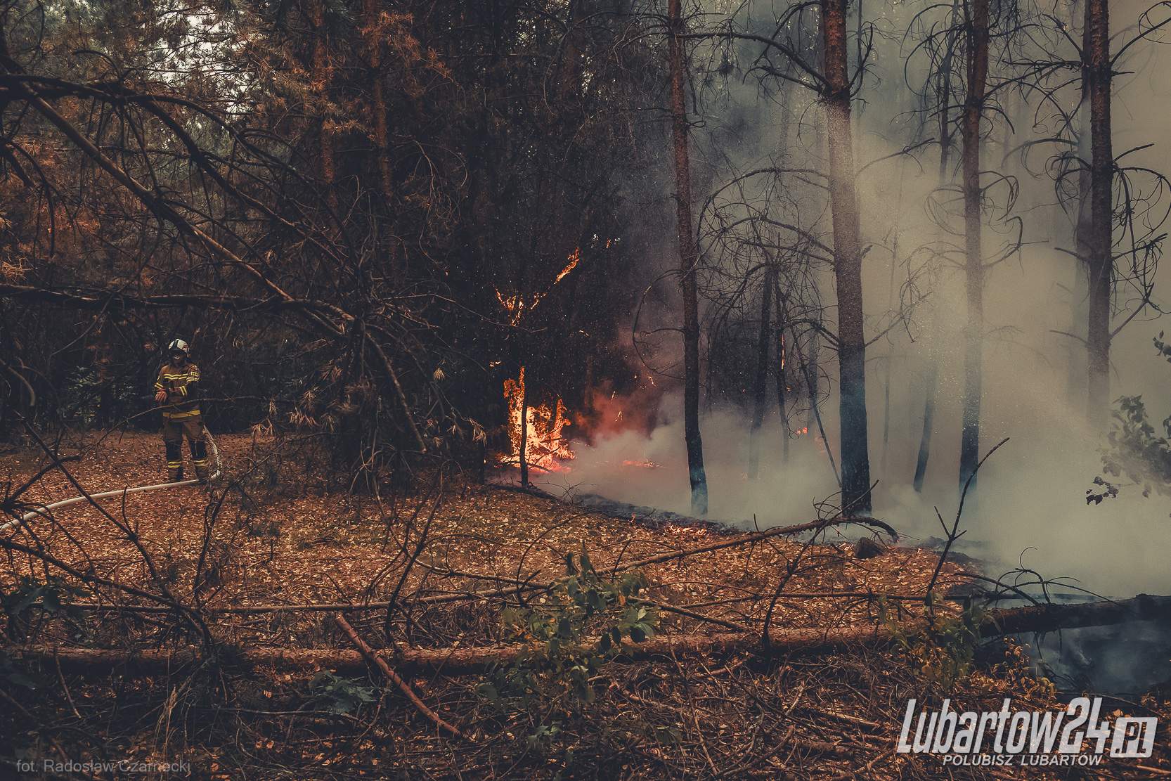 Pożar Lasu
