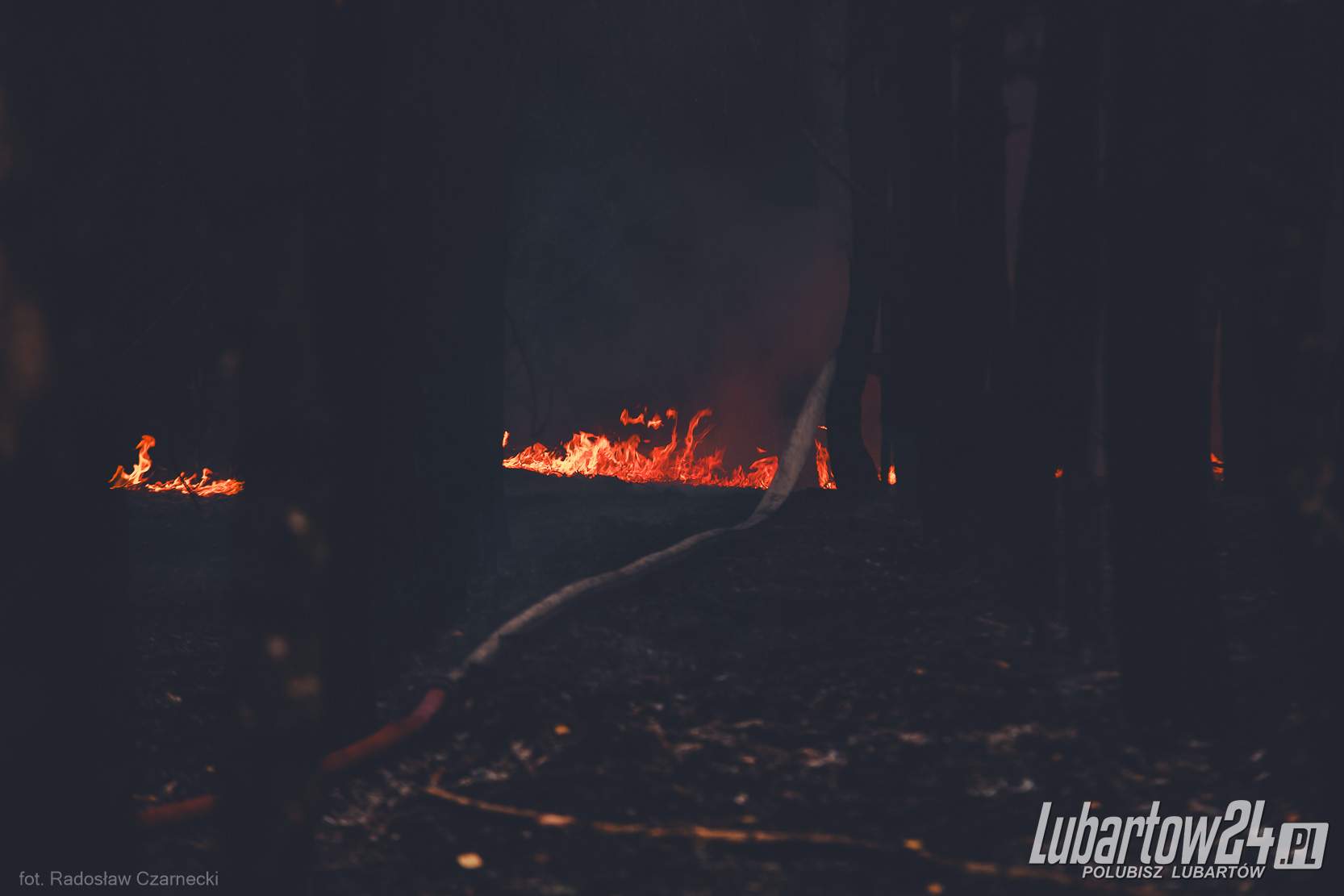 Pożar Lasu