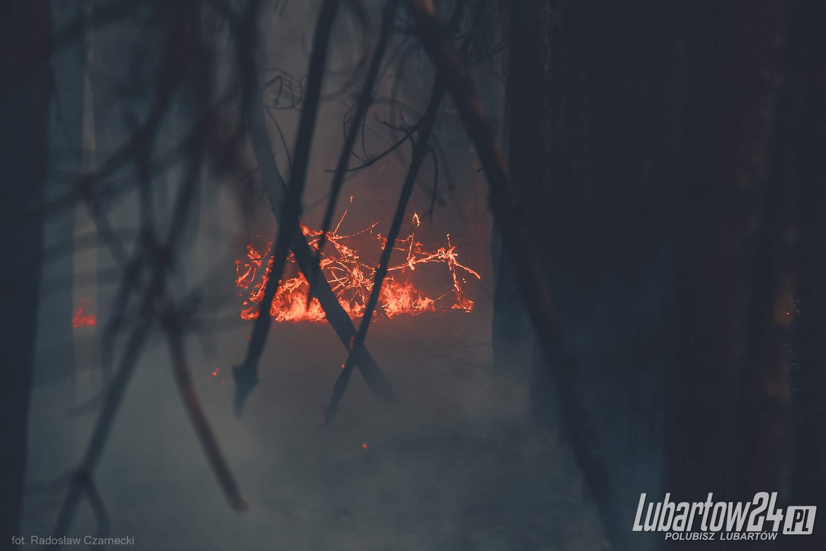 Pożar Lasu
