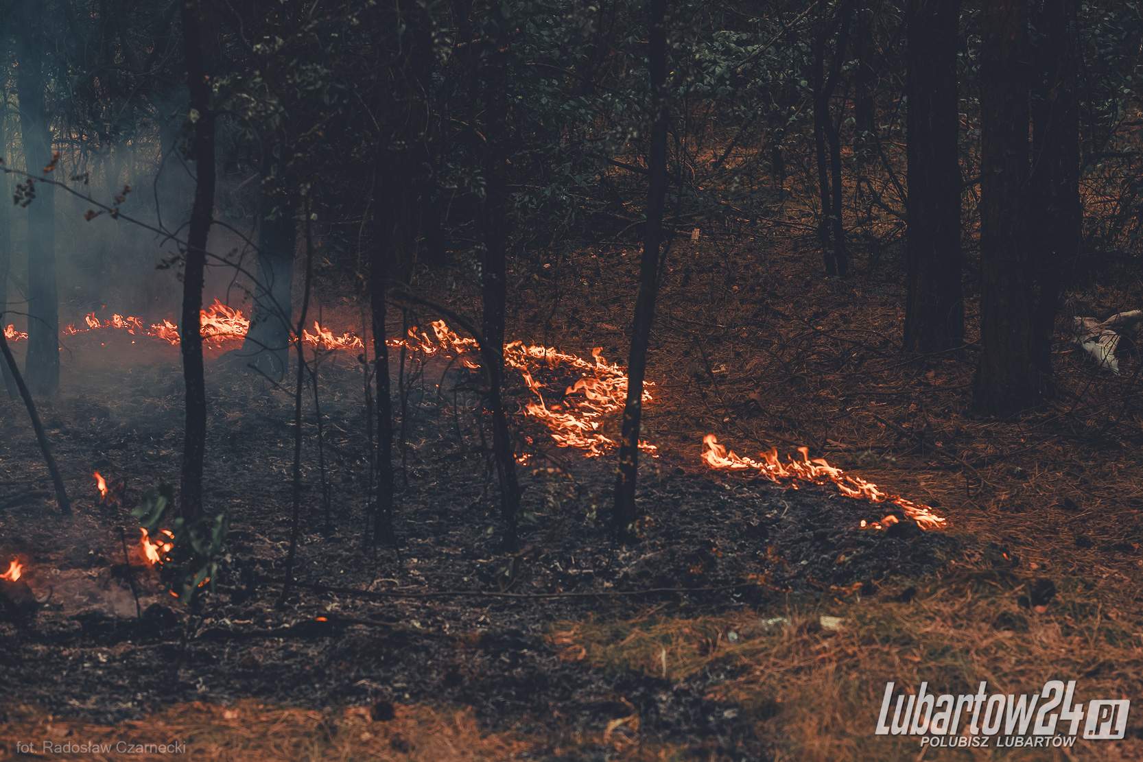 Pożar Lasu