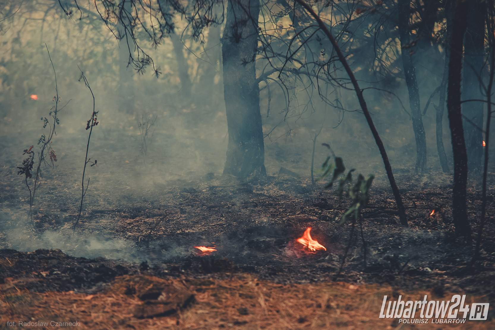 Pożar Lasu