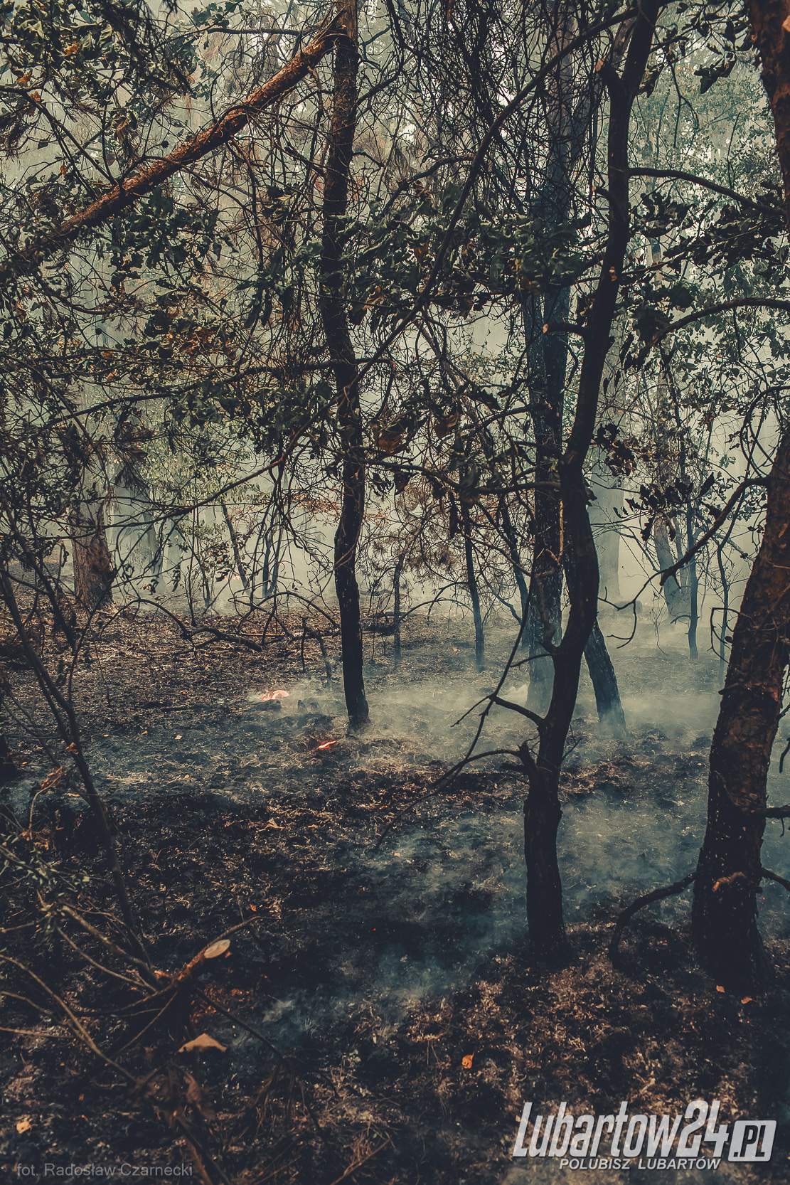Pożar Lasu