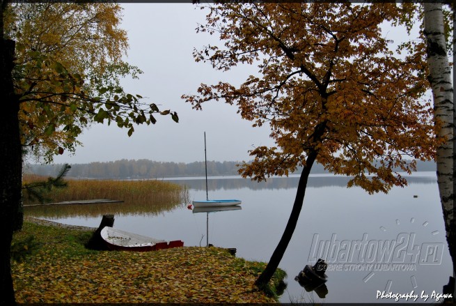 Firlej