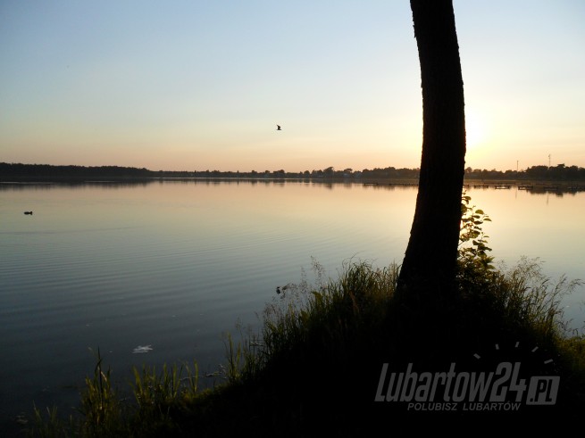 Firlej