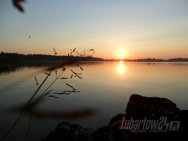 Firlej
