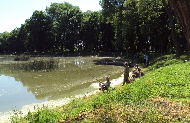 Piknik ekologiczno - wędkarski