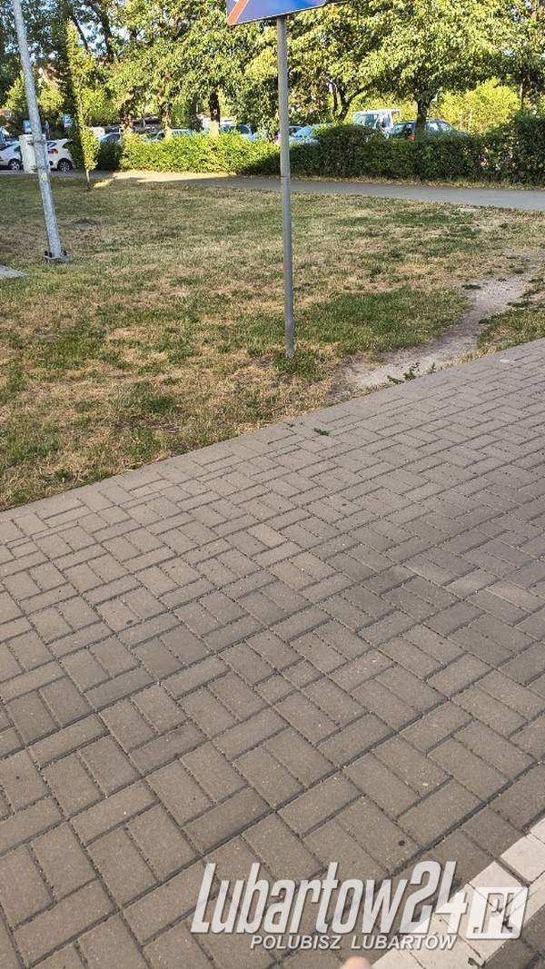 Zieleń zamienia się w klepisko