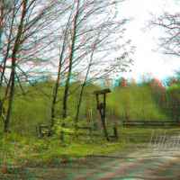 las kozlowiecki
