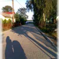 Firlej