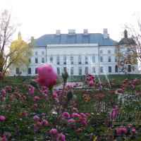 Park Jesienią