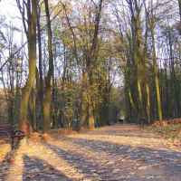 Park Jesienią