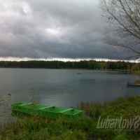 Firlej  