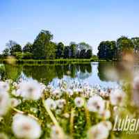 Park Miejski w Lubartowie