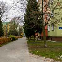 Lubartów