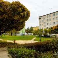 Lubartów