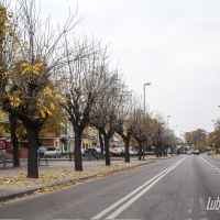 Lubartów