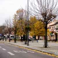 Lubartów