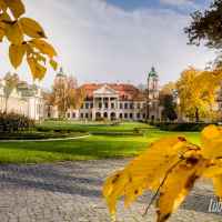 Kozłówka