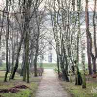 Park w Lubartowie