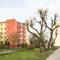 Lubartów - okolice sądu