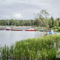 Gmina Firlej