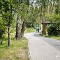 Gmina Firlej