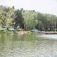 Gmina Firlej
