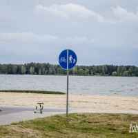 Gmina Firlej