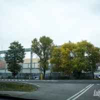 Gmina Firlej
