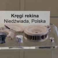 zdjęcie Licealiści na wystawie