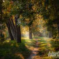 Park w Lubartowie