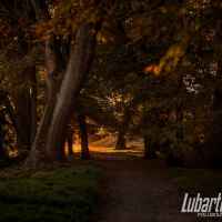 Park w Lubartowie