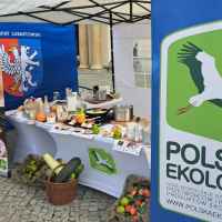 Polskie produkty na pikniku w Lubartowie