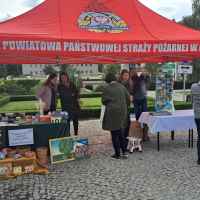 Piknik z Produktem Polskim