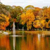 Park