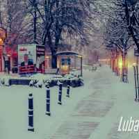 Lubartów