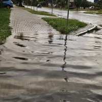 Lubartów › Galeria › 24.07.2026