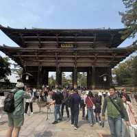 JAPONIA